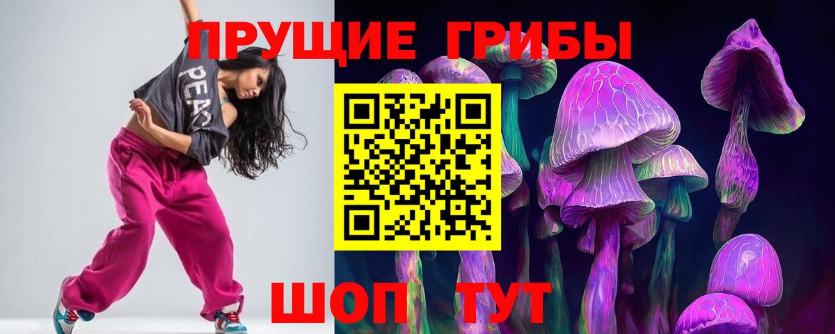 Псилоцибиновые грибы Psilocybine cubensis Мелеуз