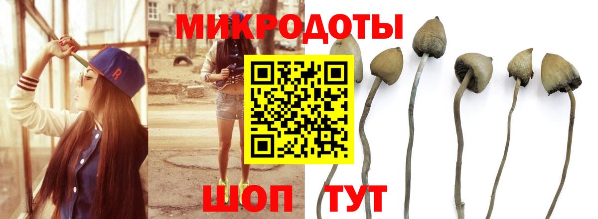Псилоцибиновые грибы Magic Shrooms  Вход с VPN  Мелеуз 